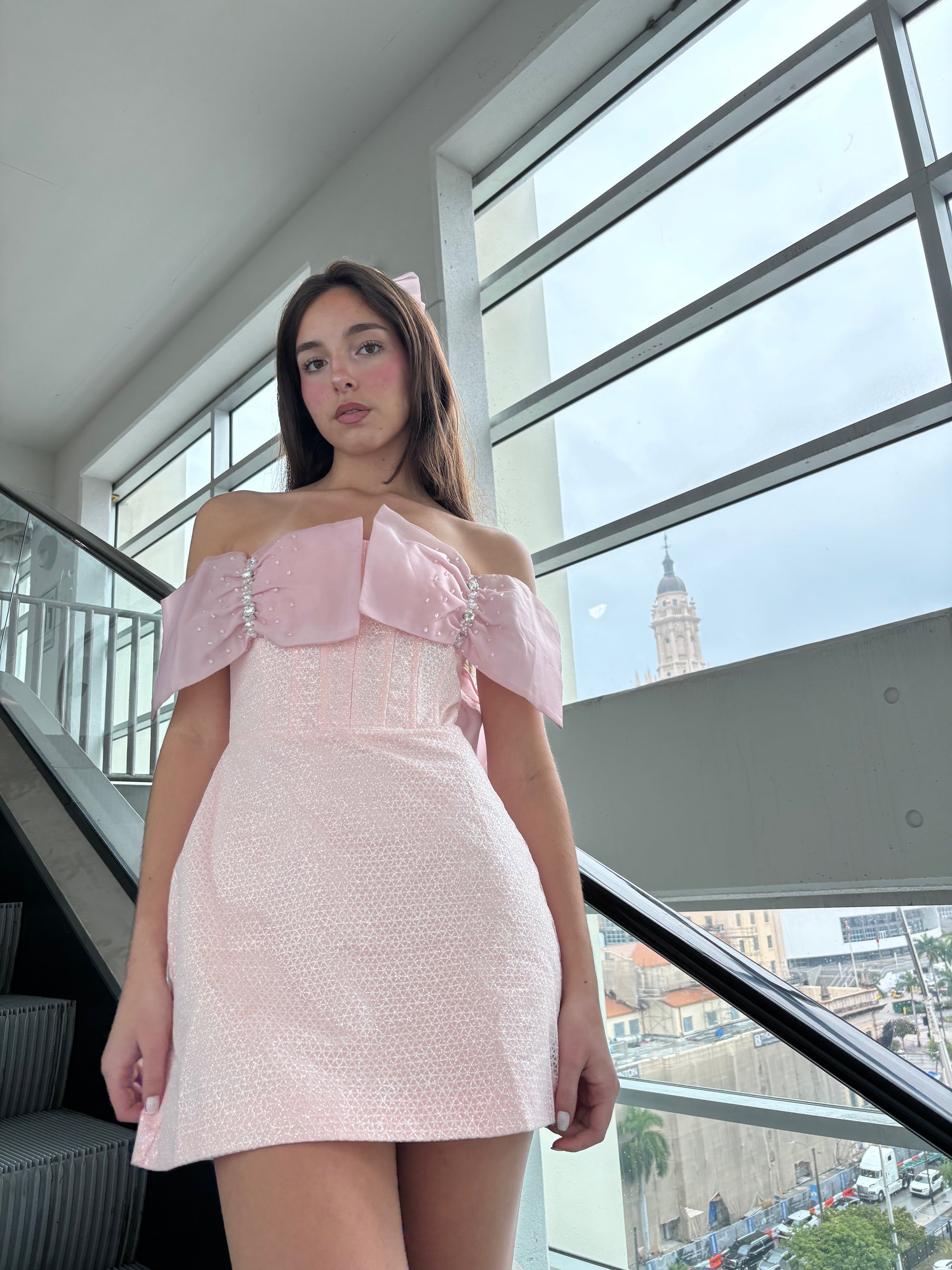 Brigitte Bow Dress