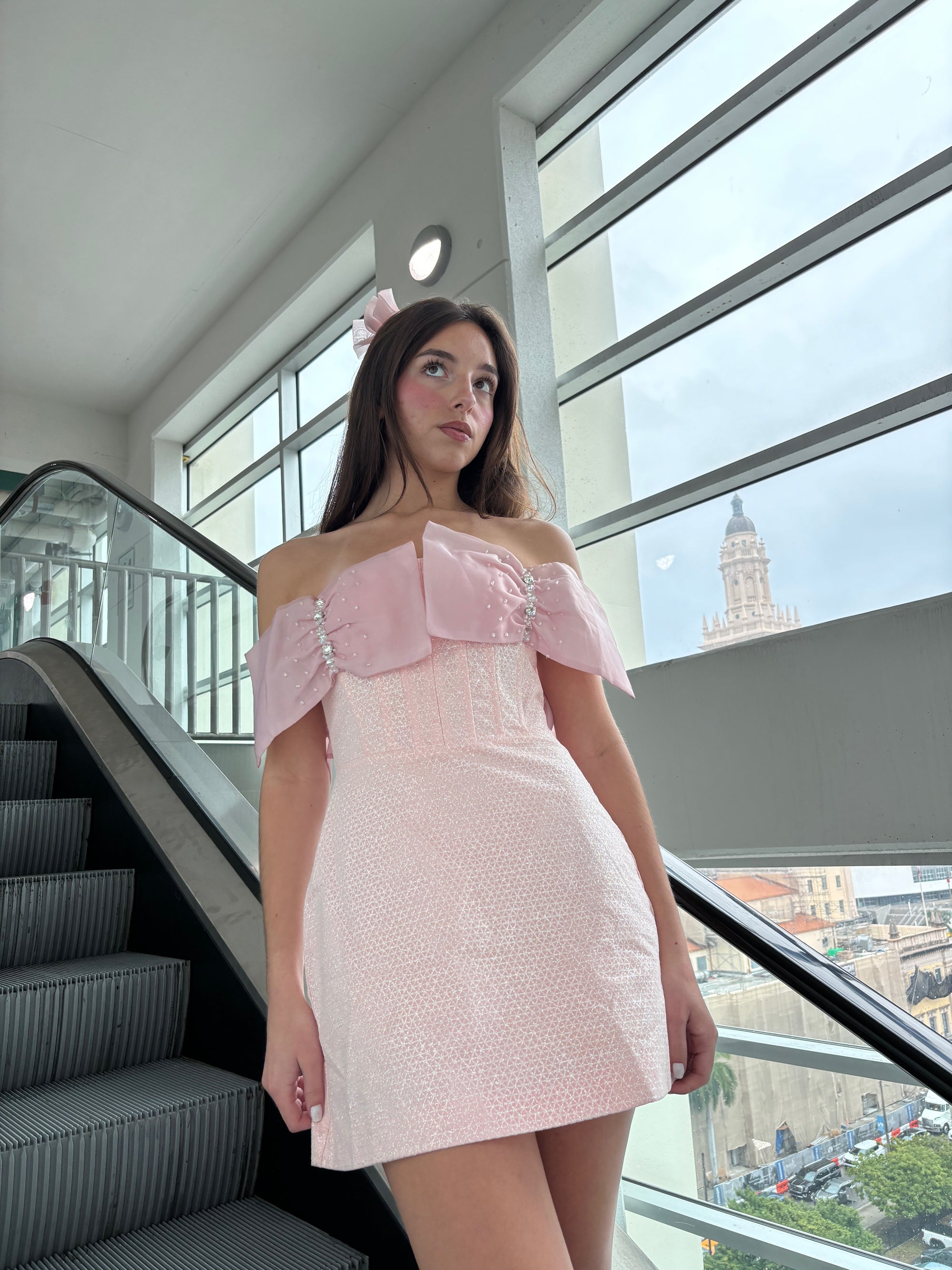 Brigitte Bow Dress