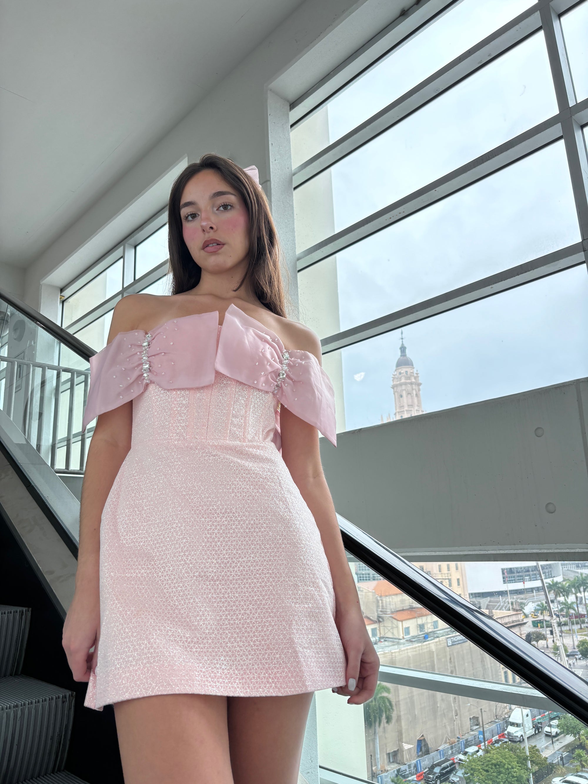Brigitte Bow Dress
